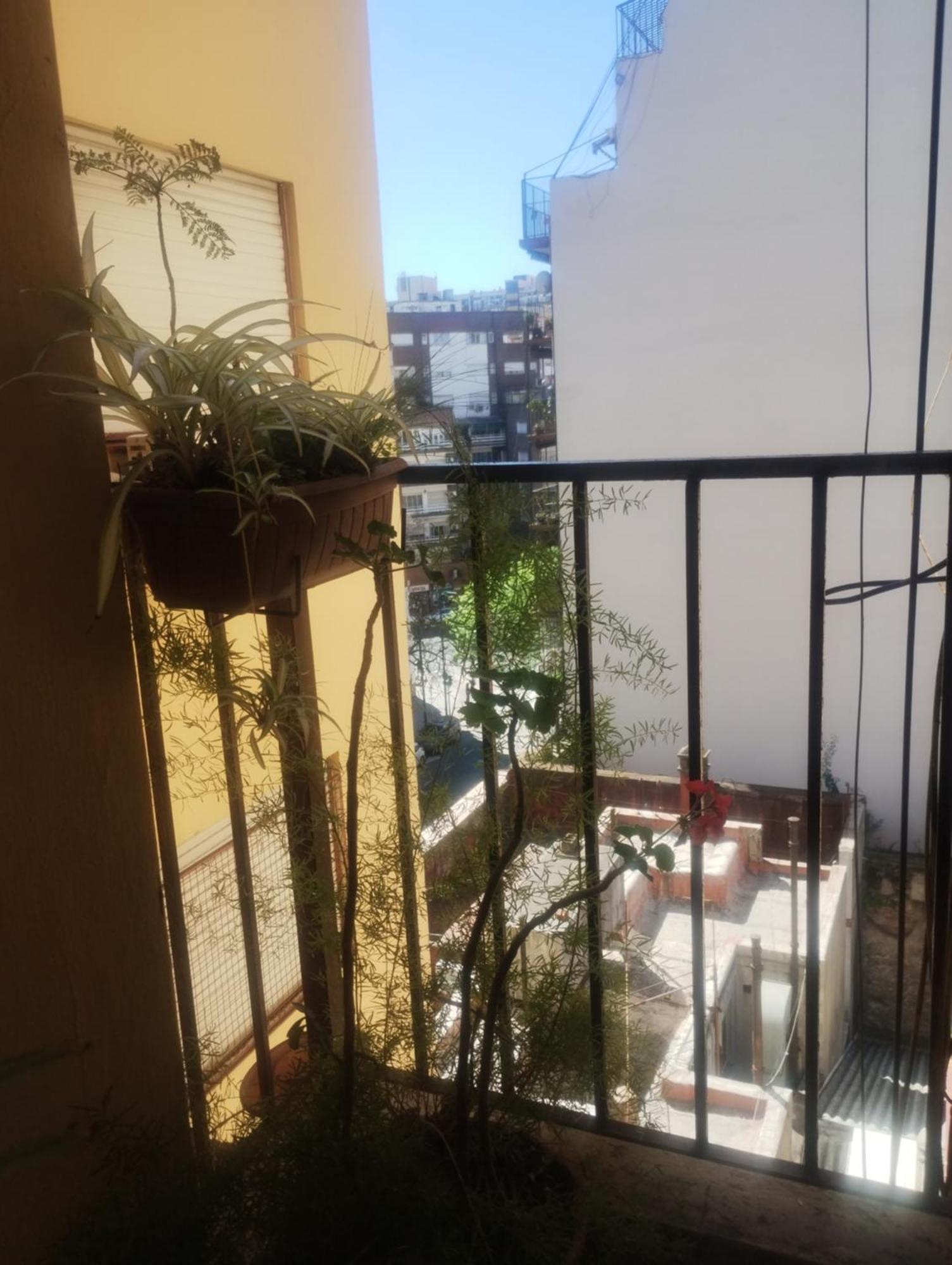 Calido En Parque Lezama Apartment - Buenos Aires — Photos 3